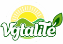 VGTALITE - Logo